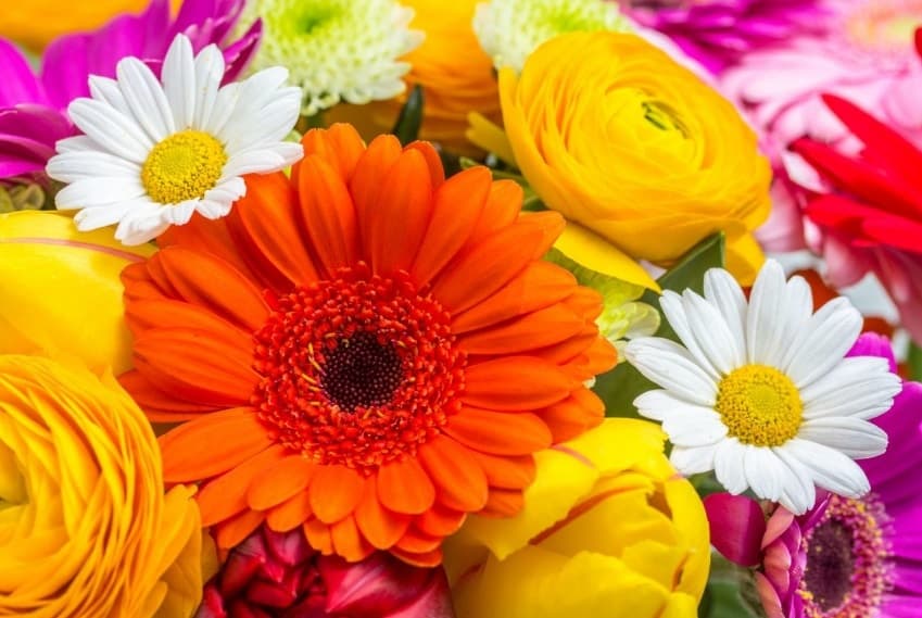 Connaissez-vous les 3 fêtes les plus importantes pour le commerce en France ?