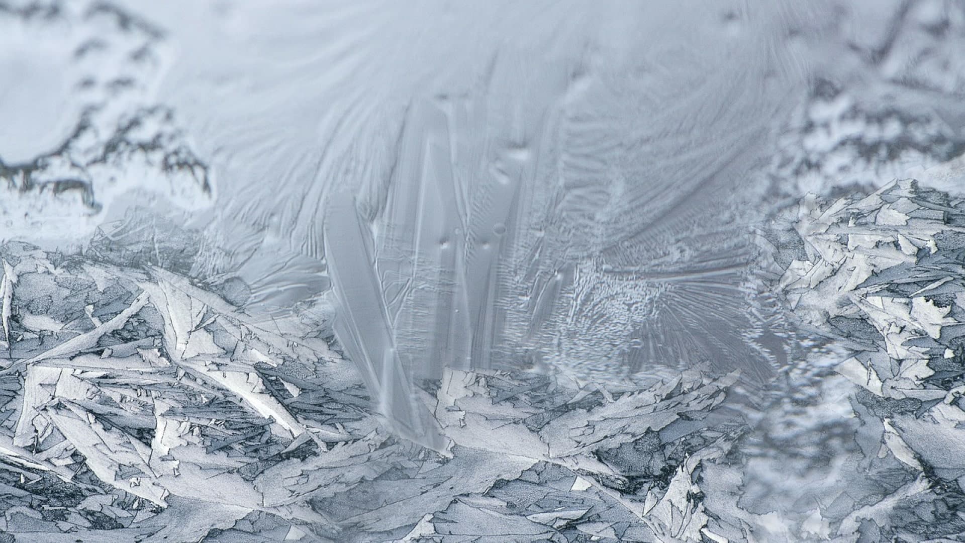 À quoi sert de la glace carbonique ?