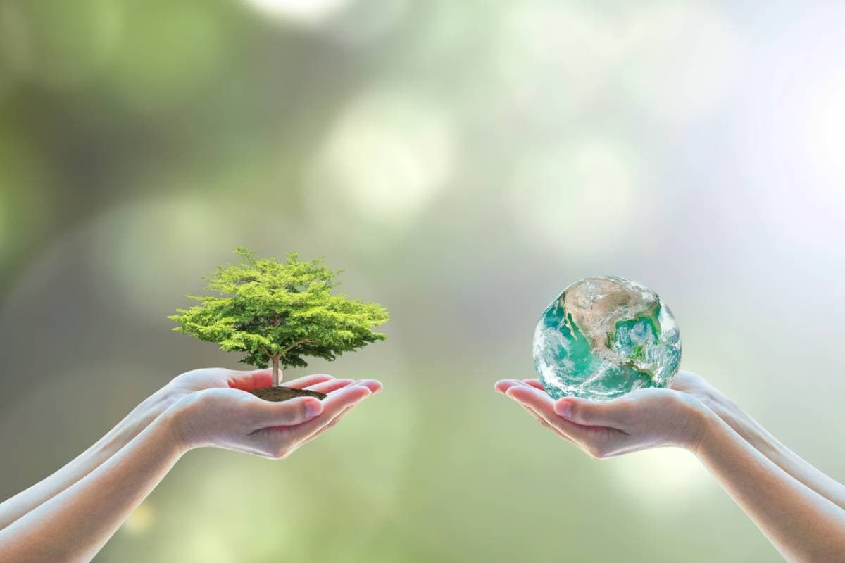 L’importance des critères ESG en entreprise