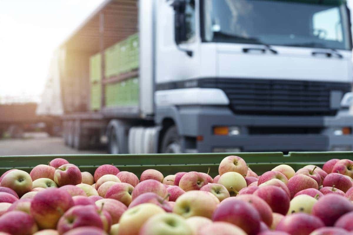 Transport alimentaire : les bonnes pratiques à adopter